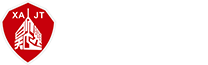 飞极速在线手机版