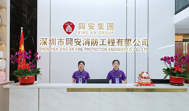 飞极速在线手机版